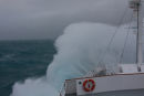 Off Elephant Island